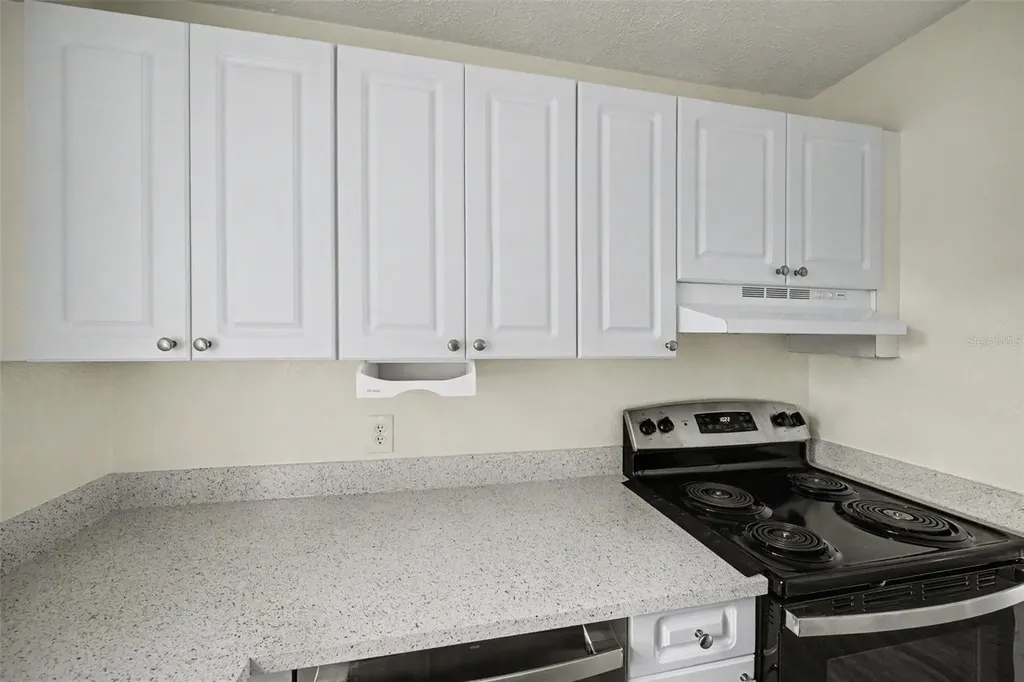 13708 Orange Sunset Drive Tampa FL 33618