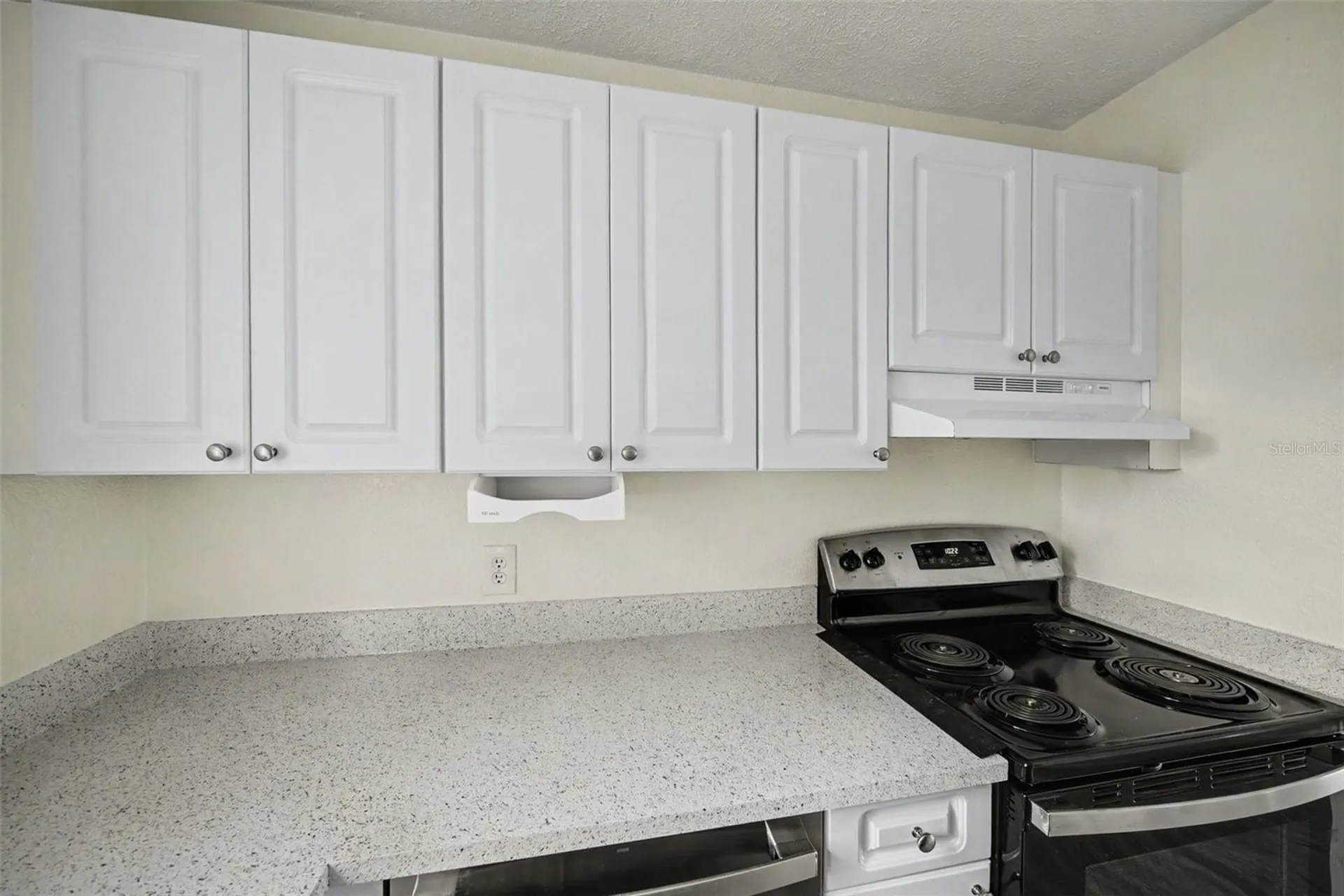 13708 Orange Sunset Drive Tampa FL 33618