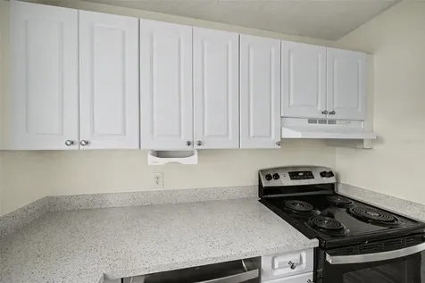 13708 Orange Sunset Drive Tampa FL 33618