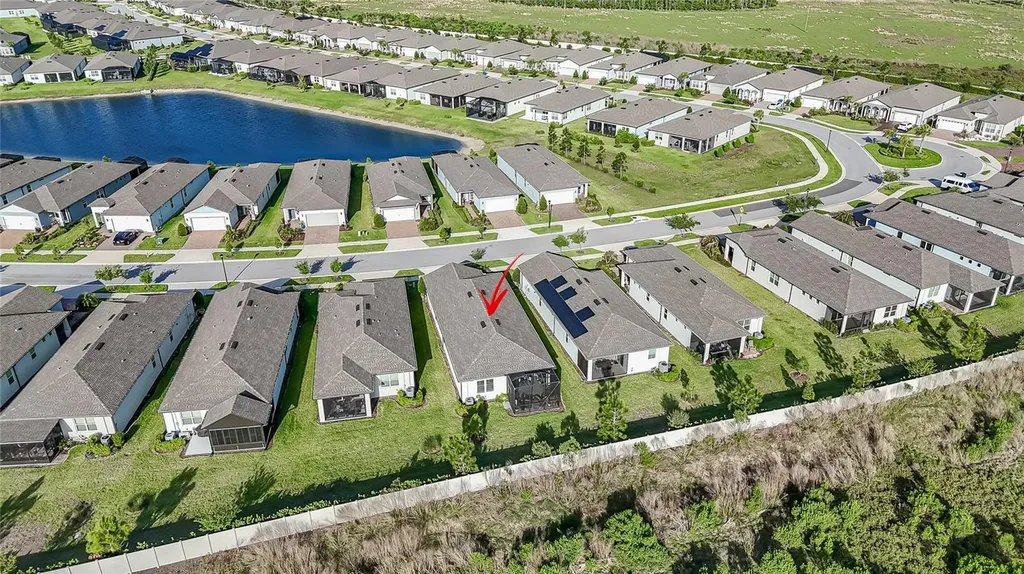 5989 Shorebird Branch Land O Lakes FL 34638