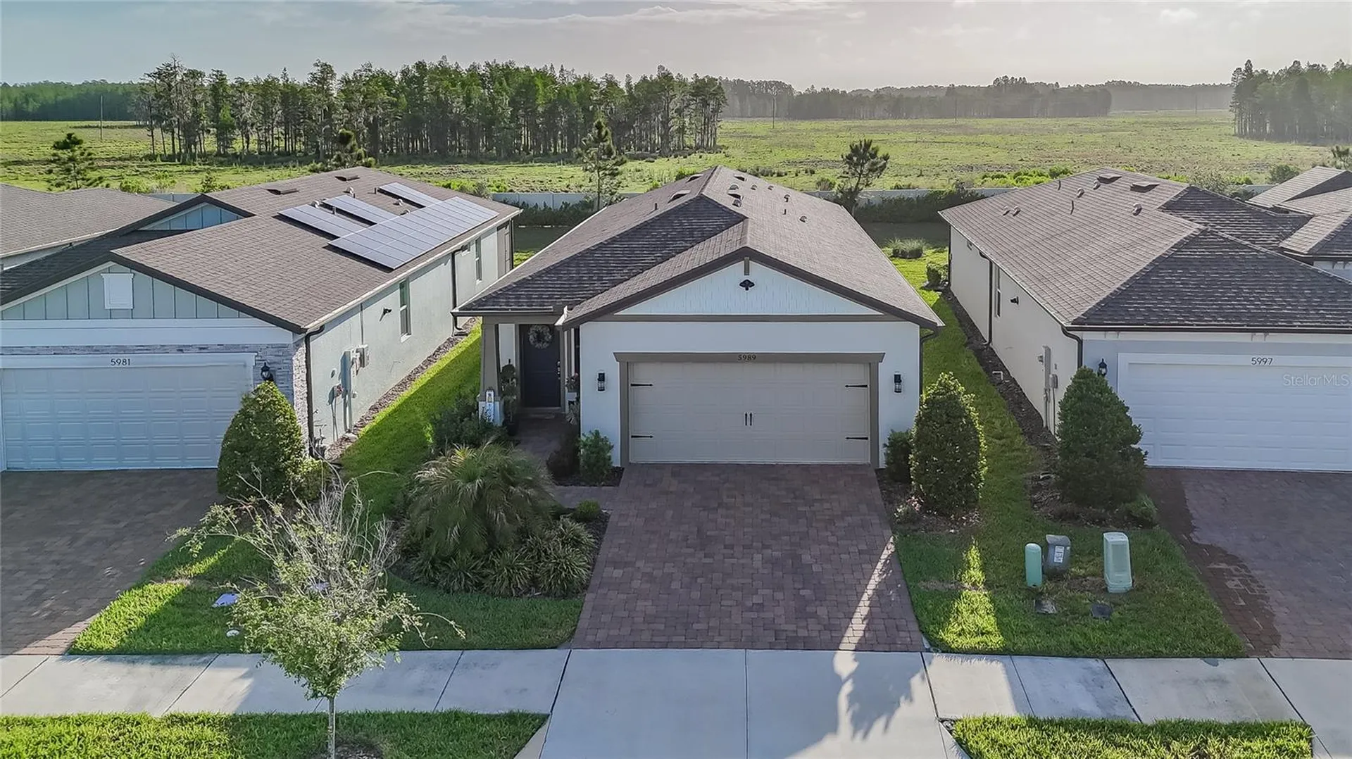 5989 Shorebird Branch Land O Lakes FL 34638