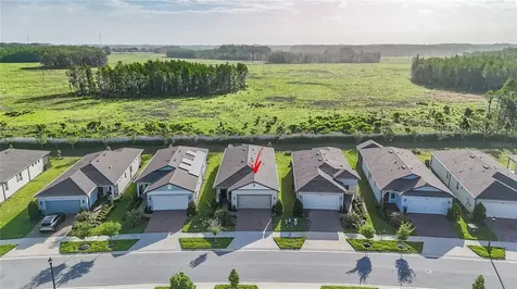 5989 Shorebird Branch Land O Lakes FL 34638