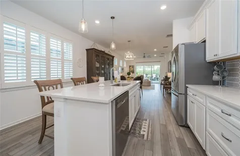 5989 Shorebird Branch Land O Lakes FL 34638