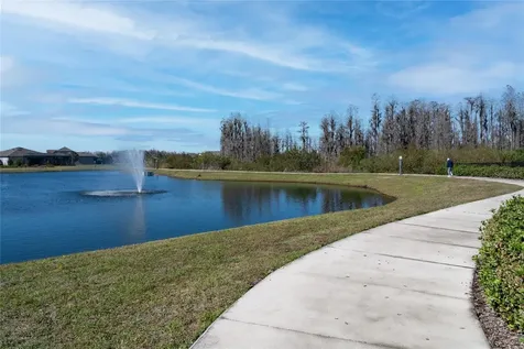 5989 Shorebird Branch Land O Lakes FL 34638