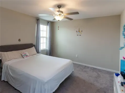4321 Globe Thistle Drive Tampa FL 33619