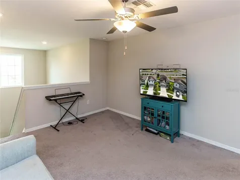 4321 Globe Thistle Drive Tampa FL 33619