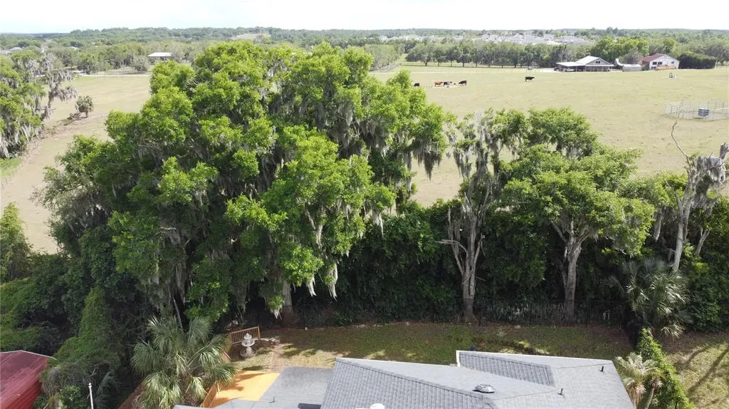6846 Lake View Drive Yalaha FL 34797