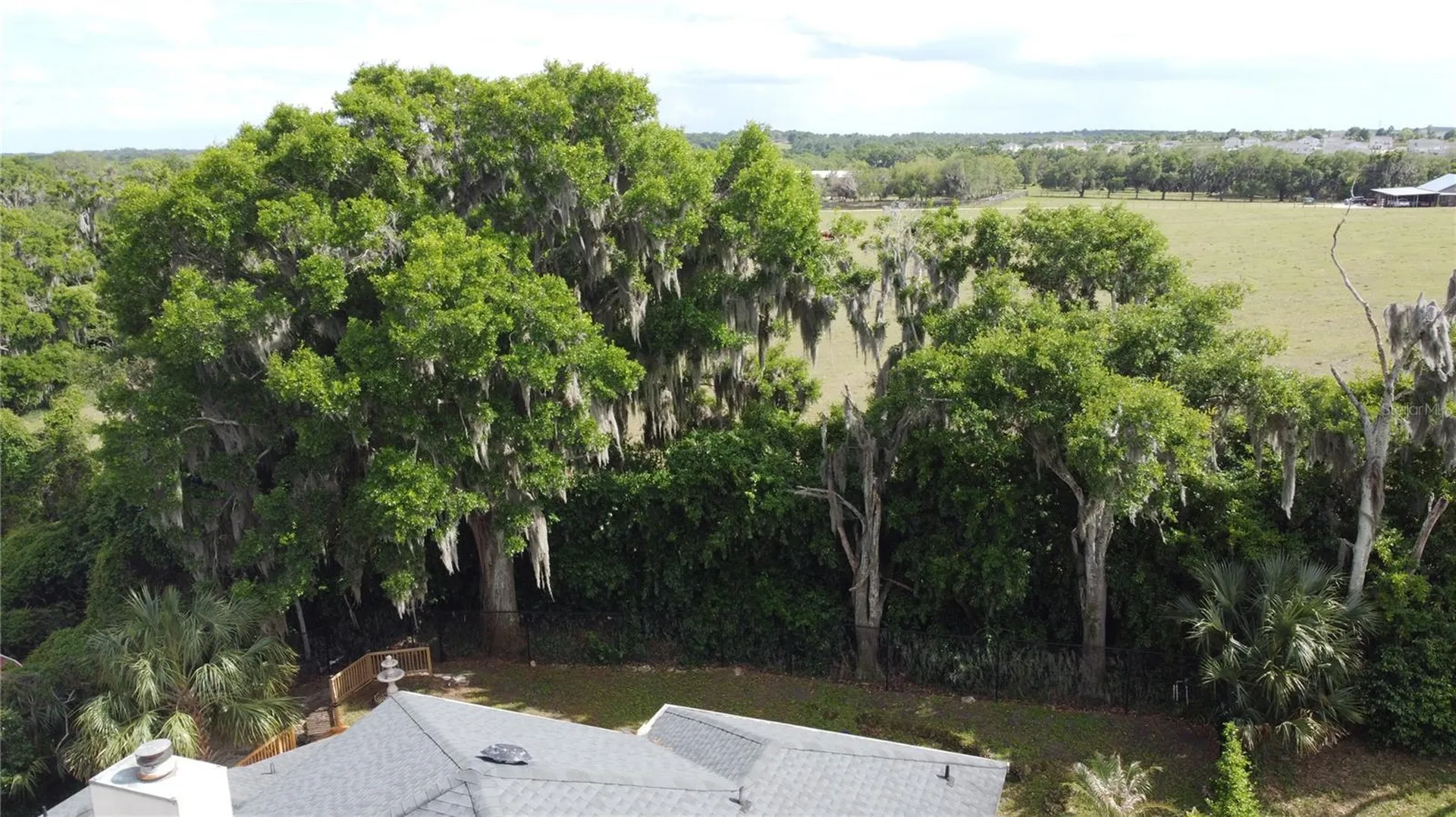 6846 Lake View Drive Yalaha FL 34797