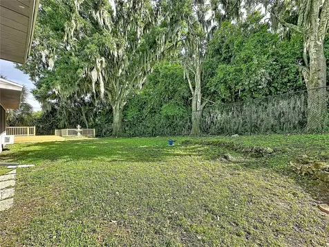 6846 Lake View Drive Yalaha FL 34797