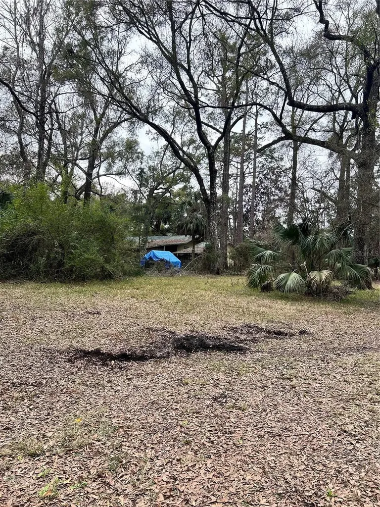 1247 Woodville Highway Crawfordville FL 32327