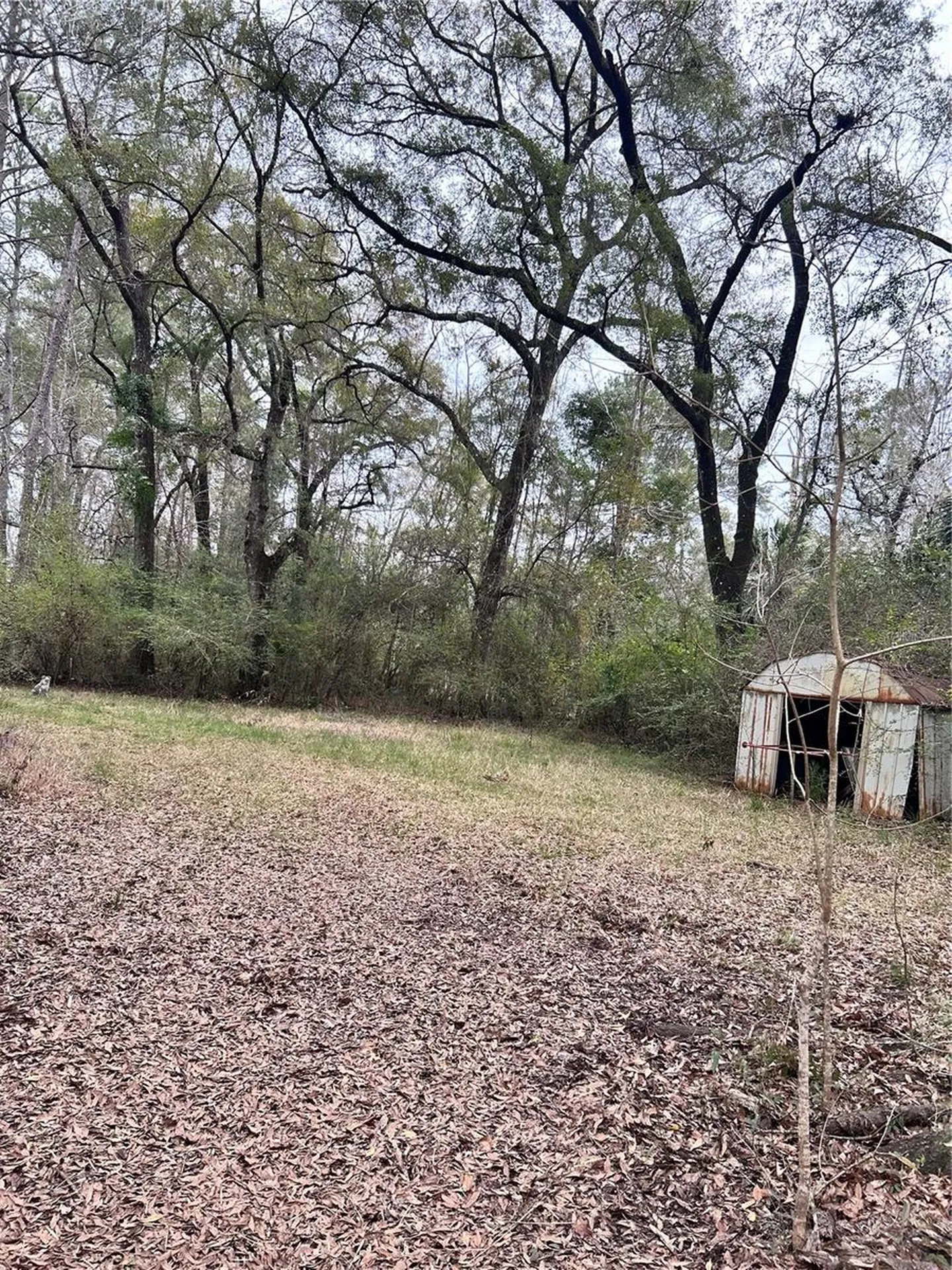 1247 Woodville Highway Crawfordville FL 32327
