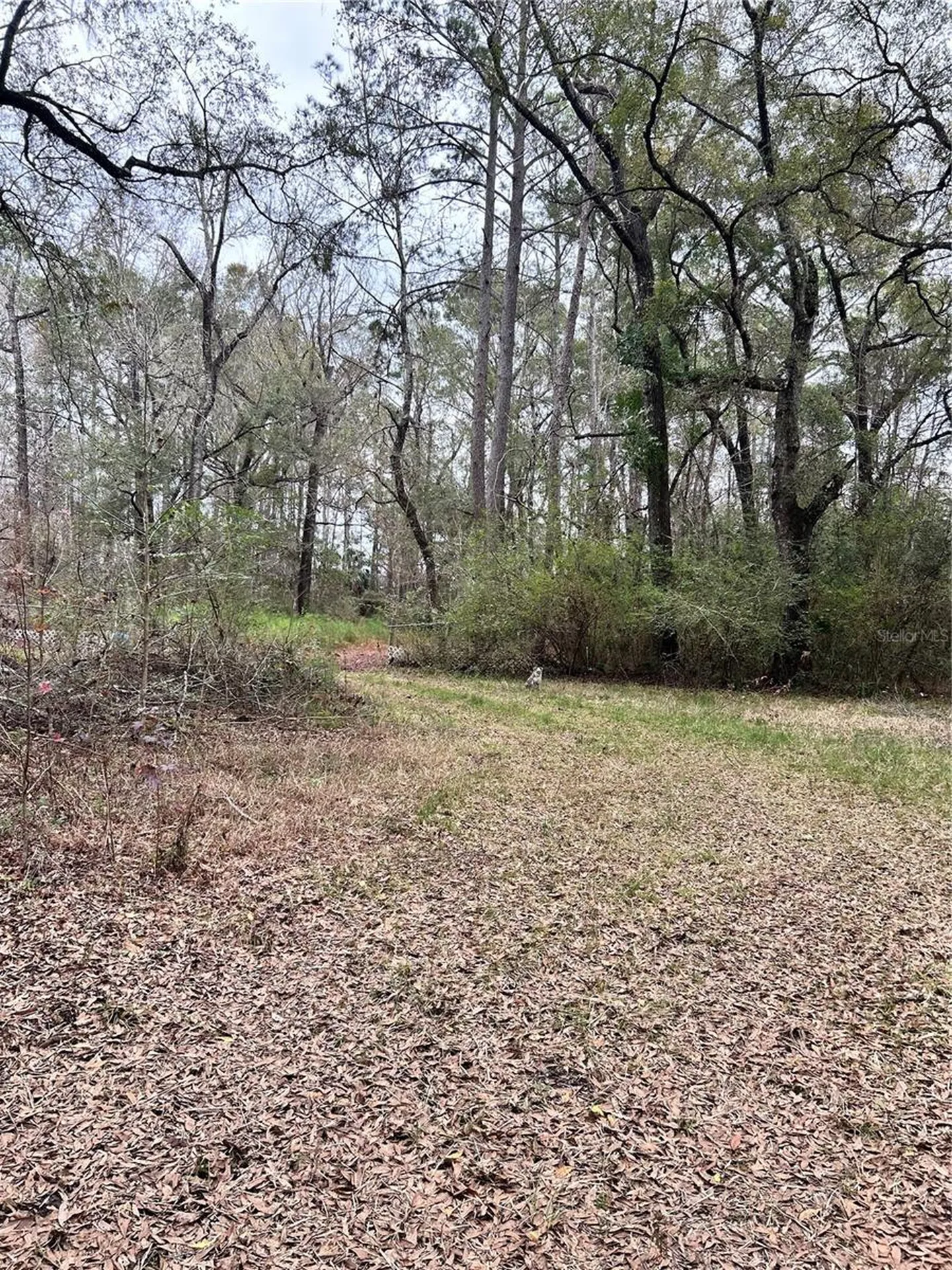1247 Woodville Highway Crawfordville FL 32327