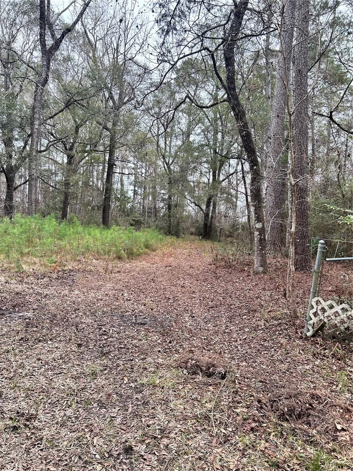 1247 Woodville Highway Crawfordville FL 32327