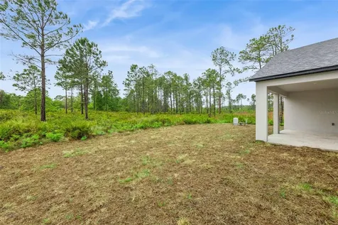 42875 Honeysuckle Street Eustis FL 32736