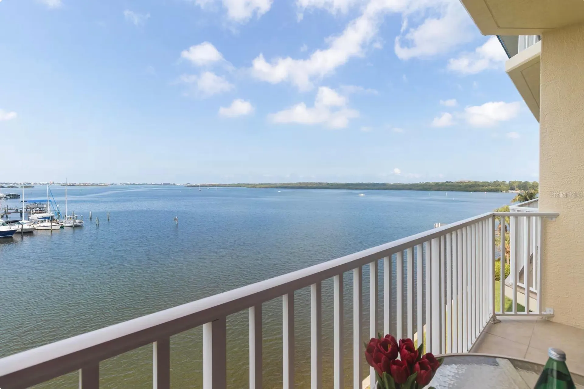 8800 Bay Pines Boulevard St Petersburg FL 33709