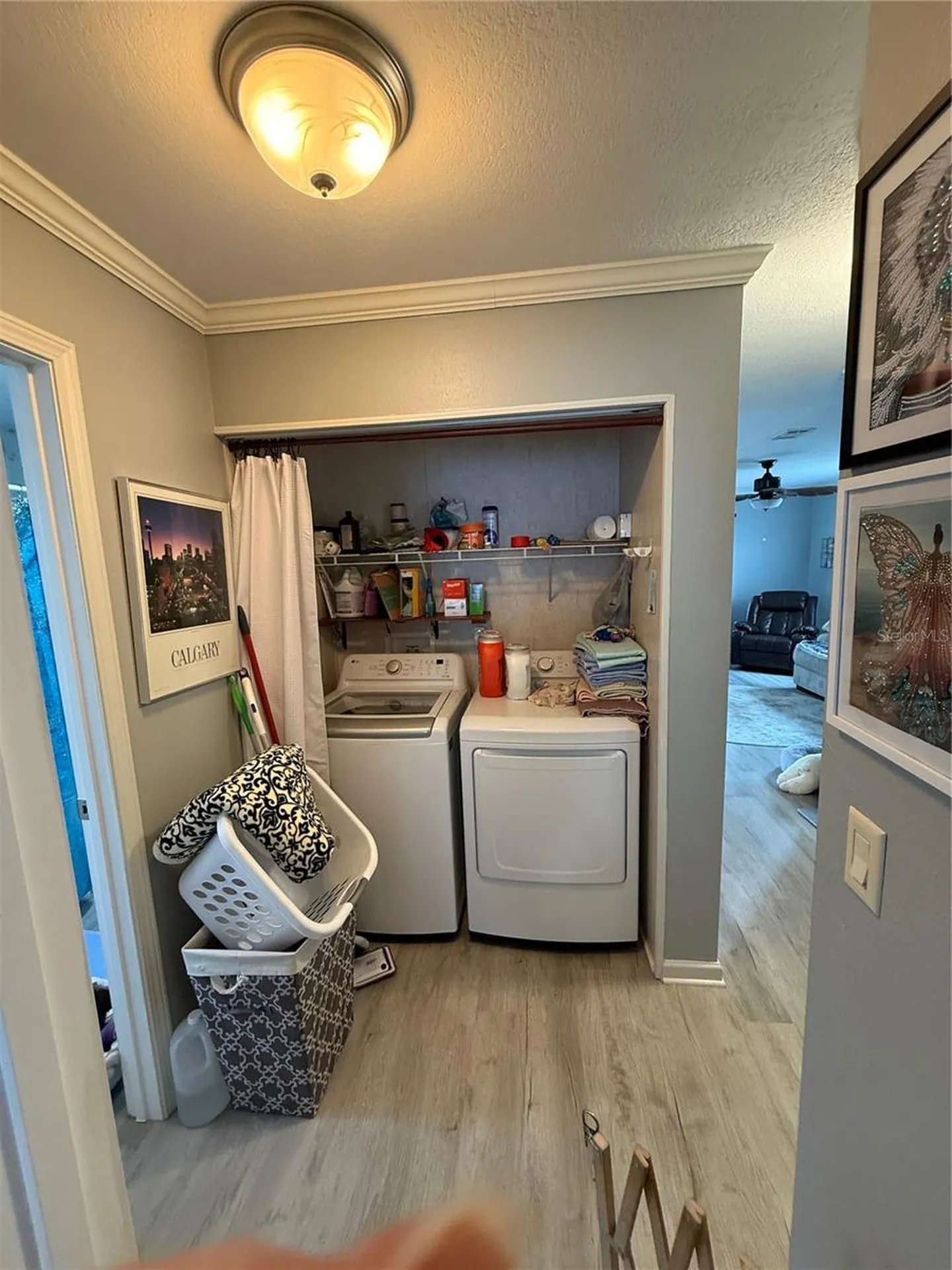 13330 SE 21st Place Morriston FL 32668