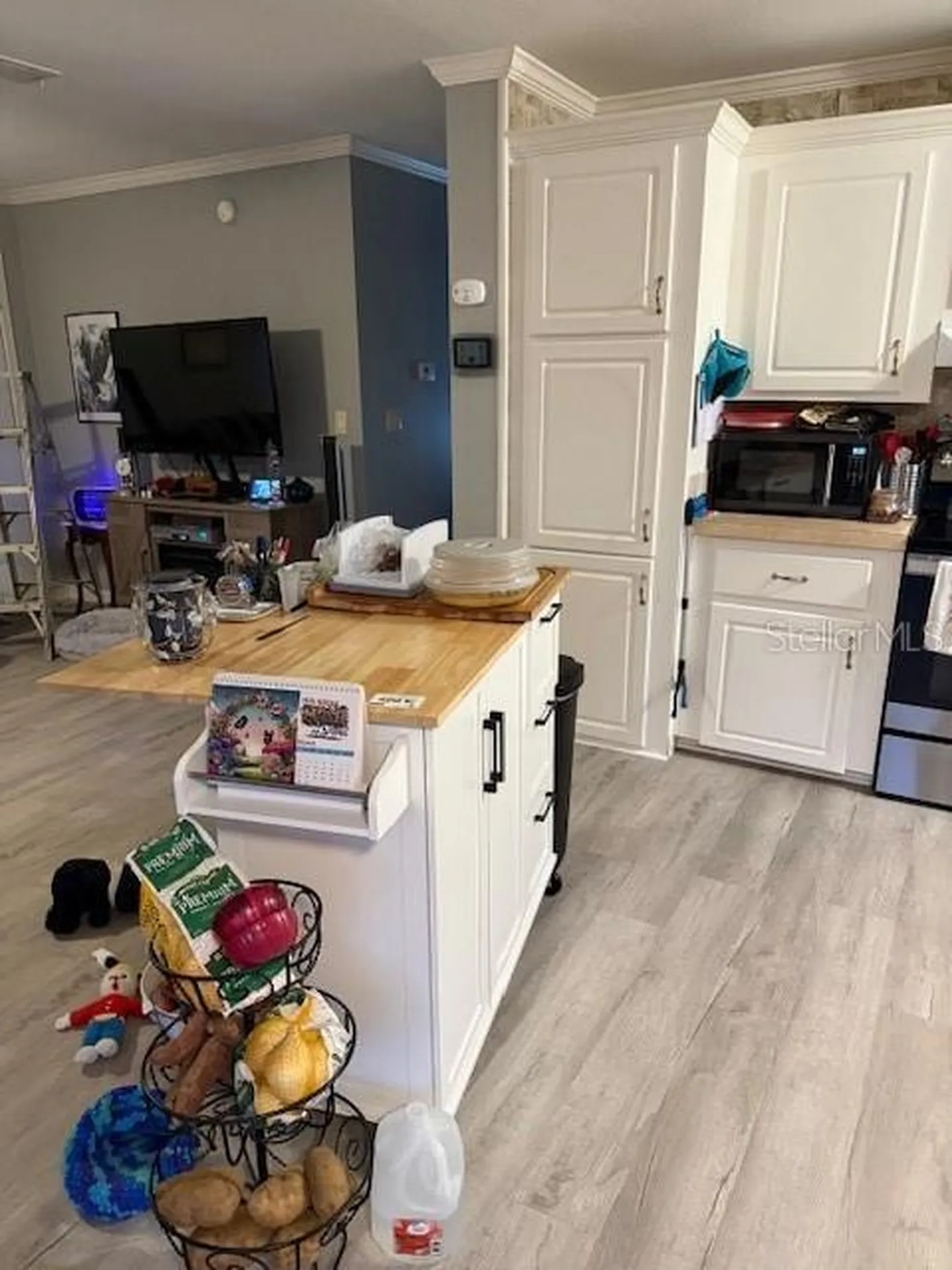 13330 SE 21st Place Morriston FL 32668
