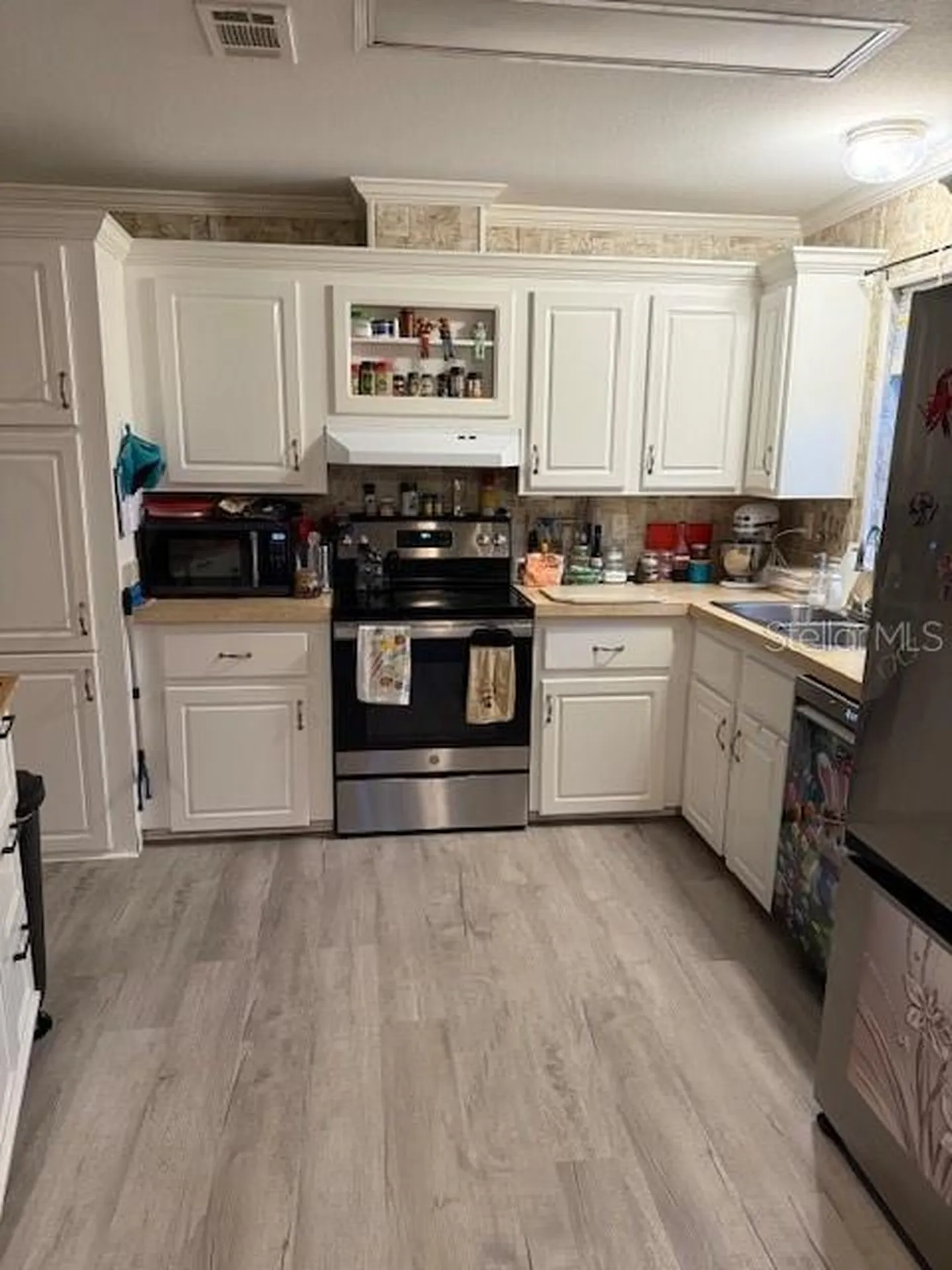 13330 SE 21st Place Morriston FL 32668