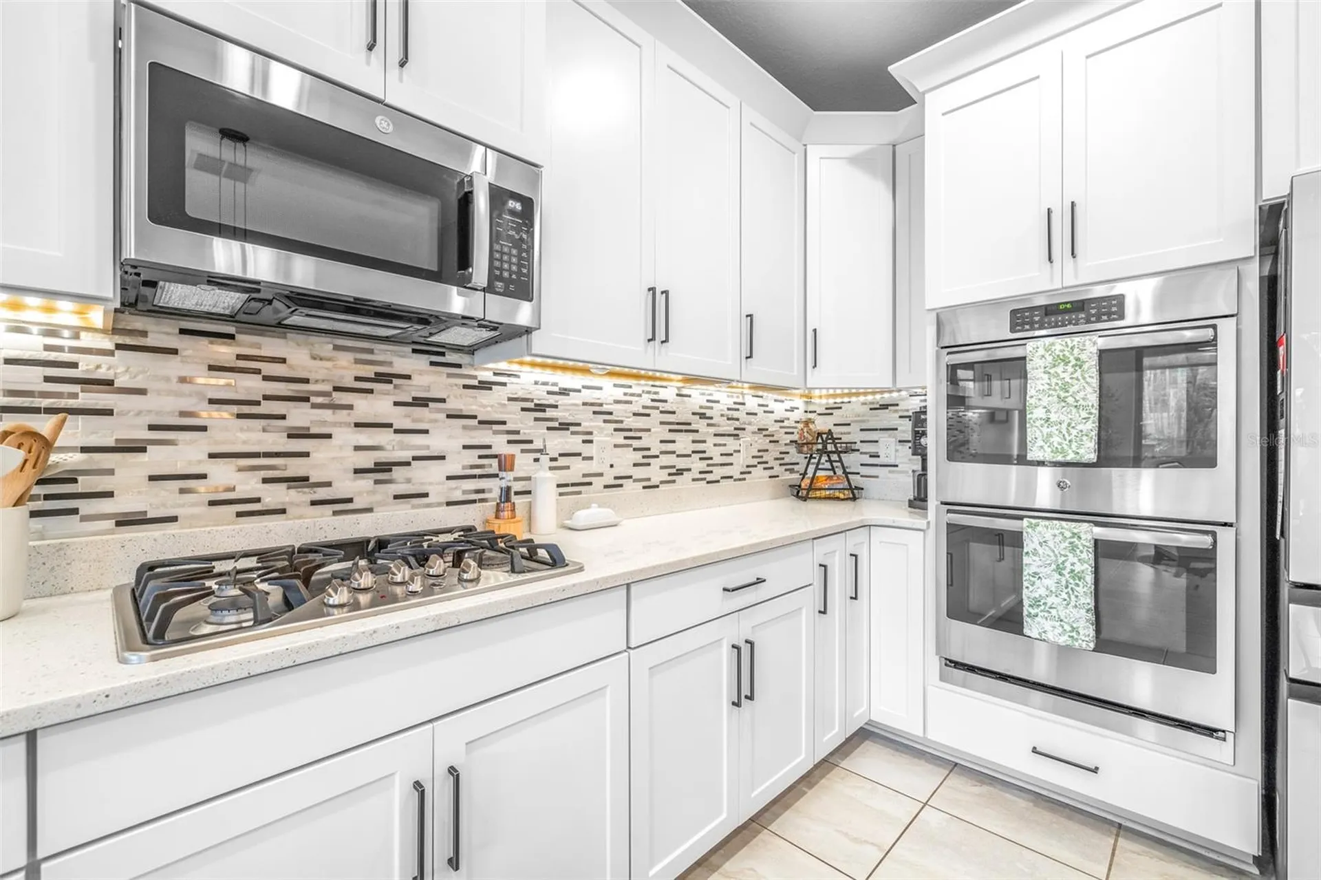 21827 Billowy Jaunt Drive Land O Lakes FL 34637