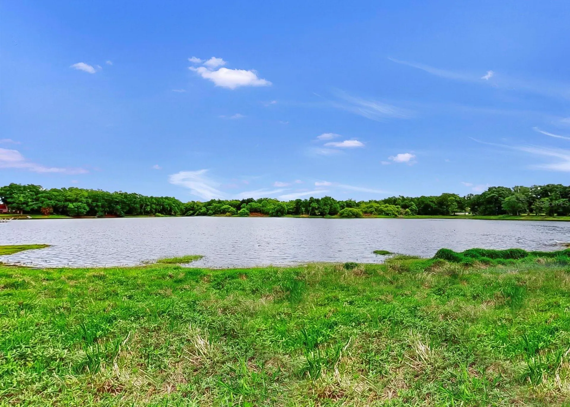 220 Rosana Drive Brandon FL 33511