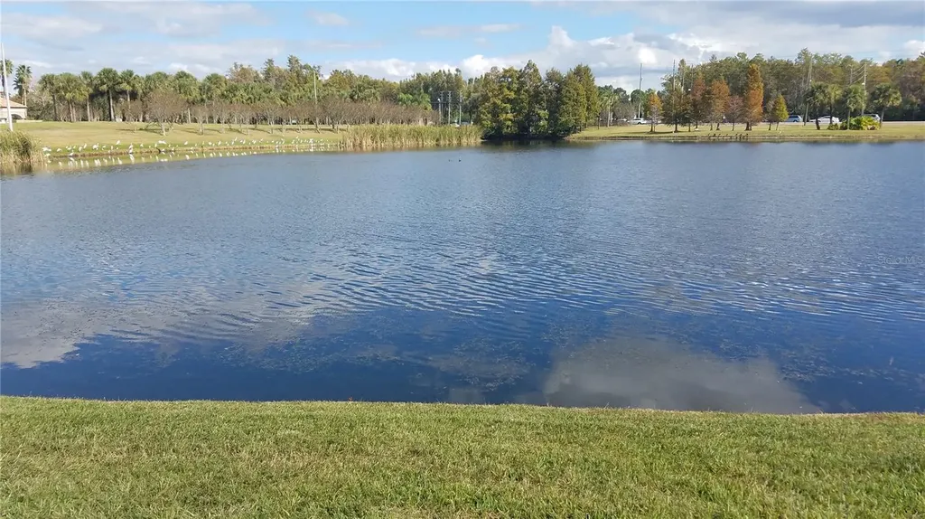 2015 Reston Road Orlando FL 32837