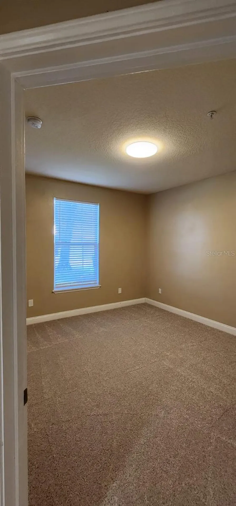 2015 Reston Road Orlando FL 32837