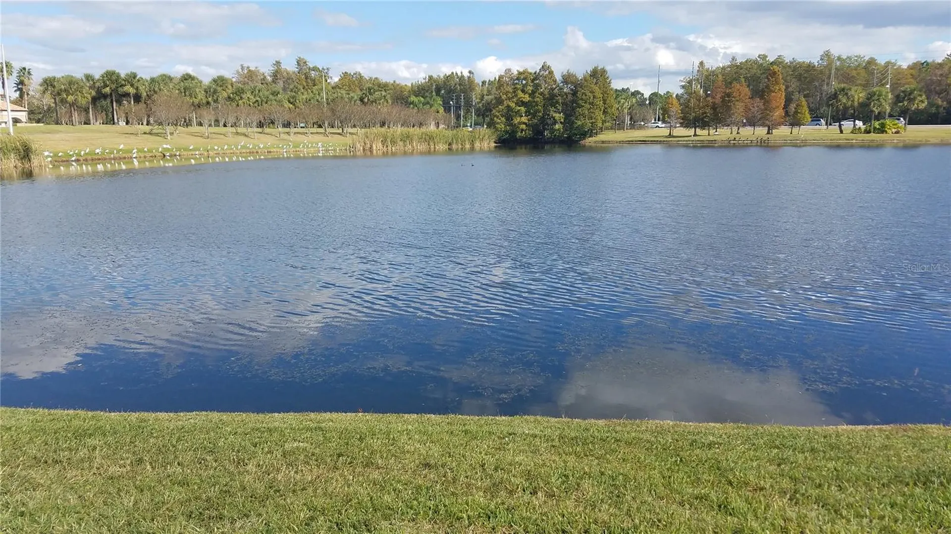 2015 Reston Road Orlando FL 32837