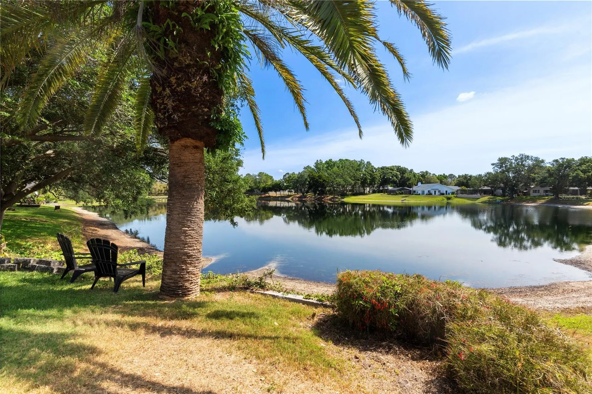 5000 Lake Valencia Boulevard W Palm Harbor FL 34684