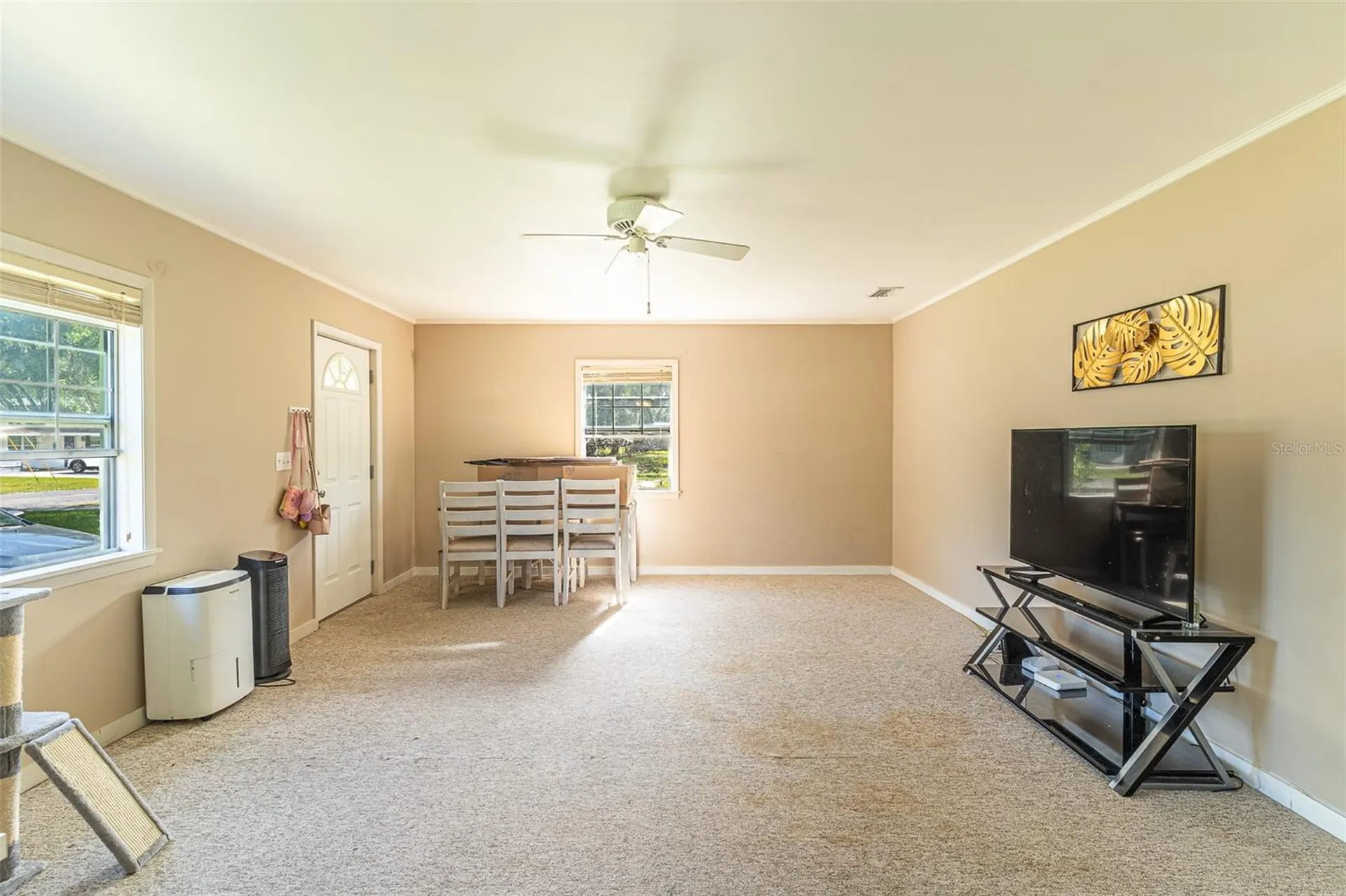 38332 Fir Avenue Zephyrhills FL 33542