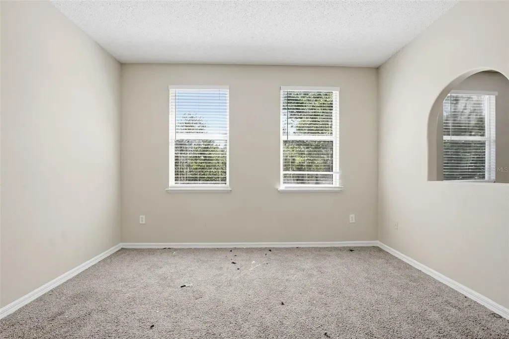 19222 Wood Sage Drive Tampa FL 33647
