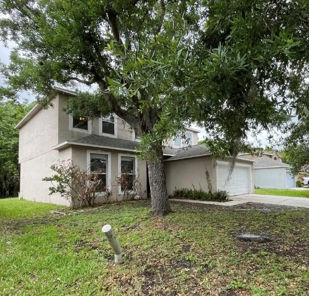 19222 Wood Sage Drive Tampa FL 33647