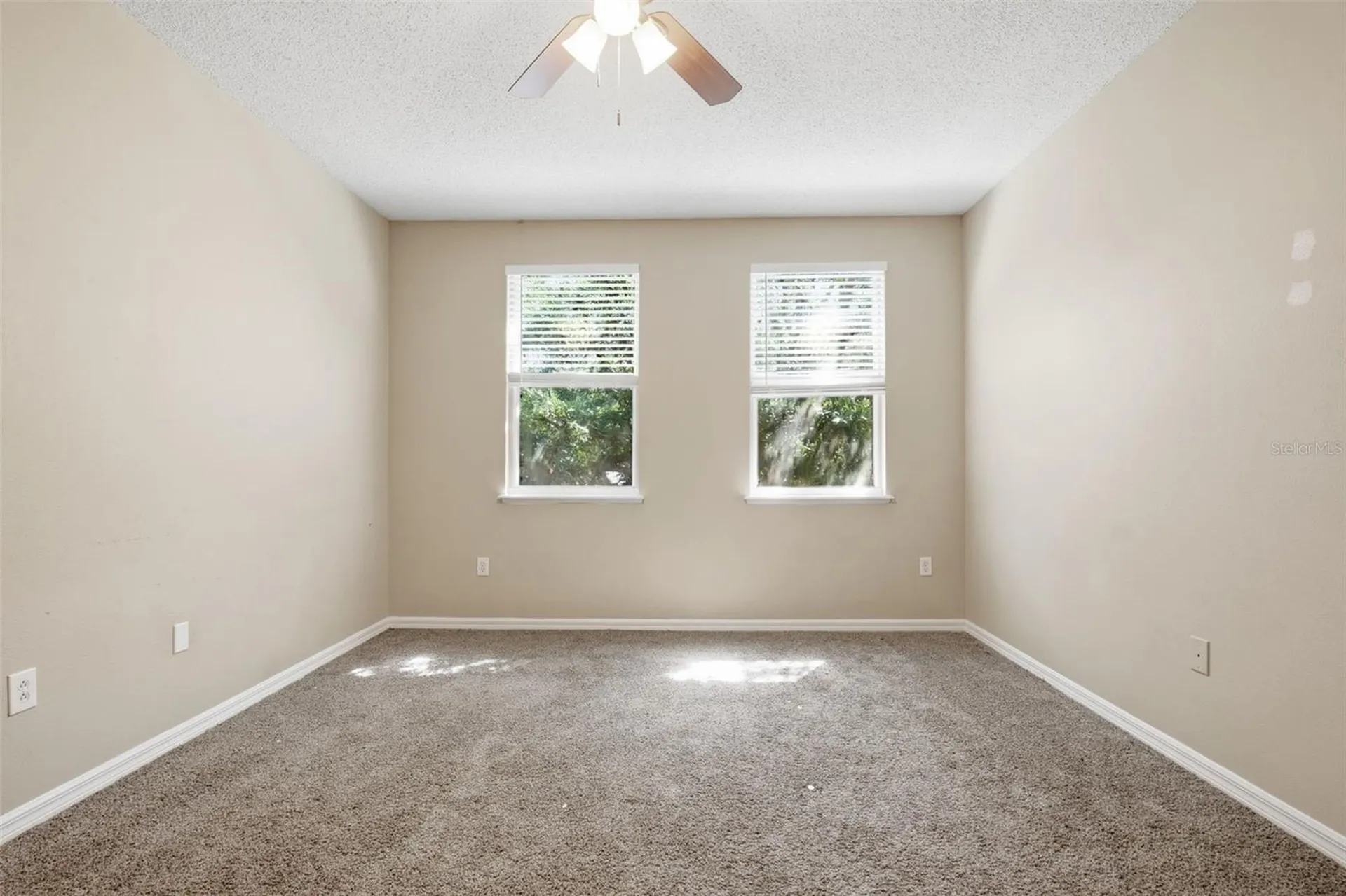 19222 Wood Sage Drive Tampa FL 33647