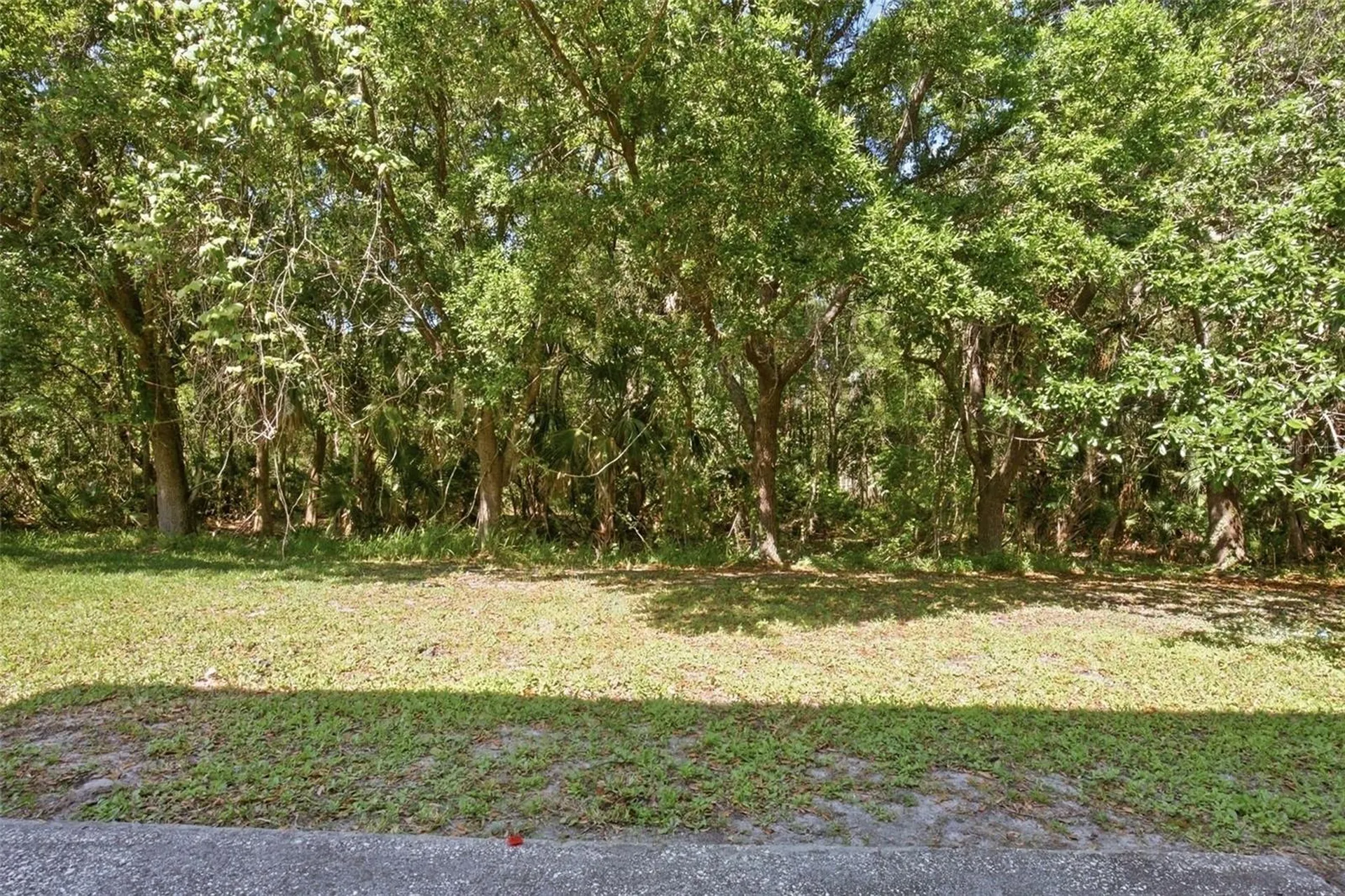 19222 Wood Sage Drive Tampa FL 33647