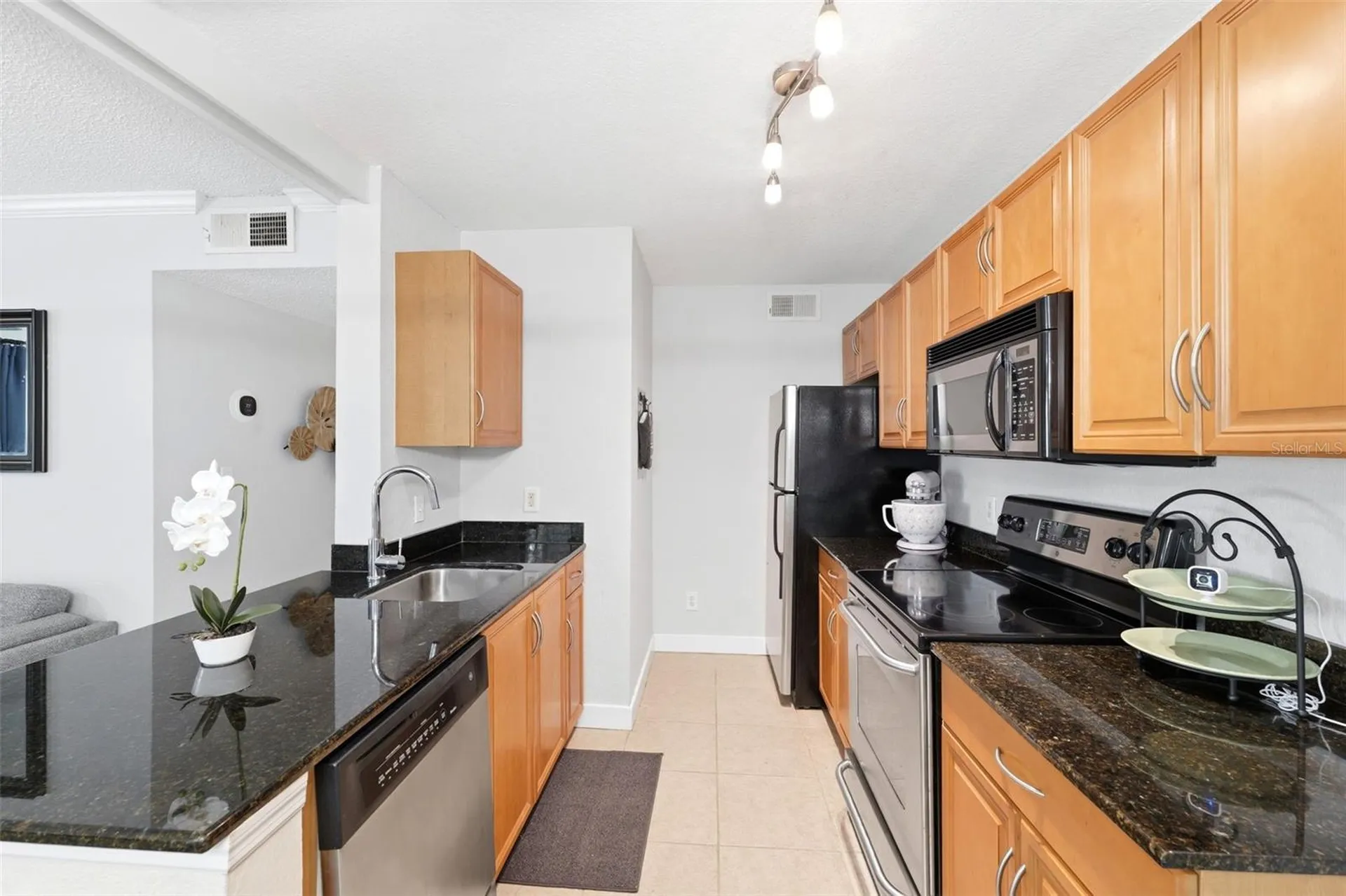 3321 Haviland Court Palm Harbor FL 34684
