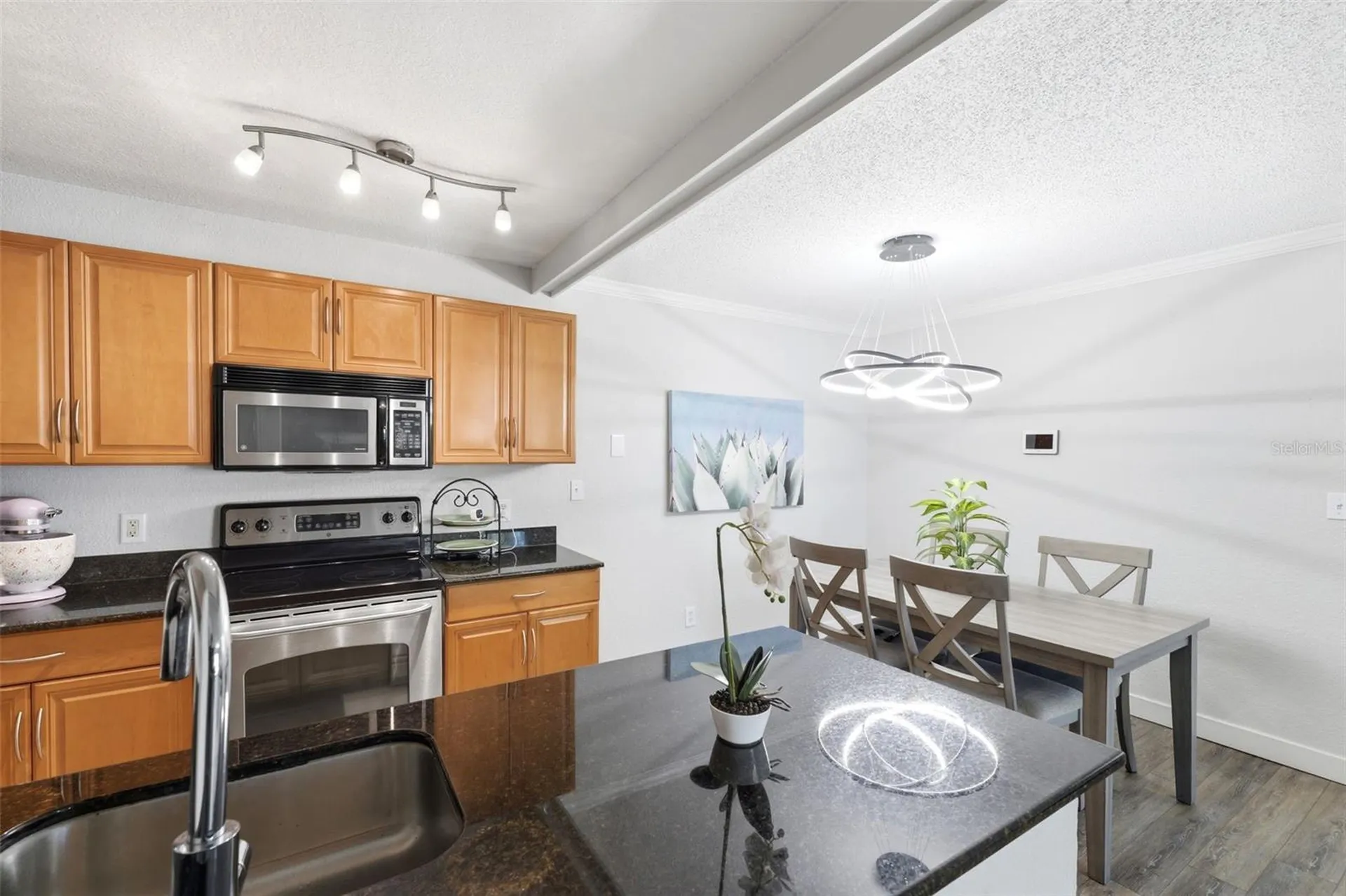 3321 Haviland Court Palm Harbor FL 34684