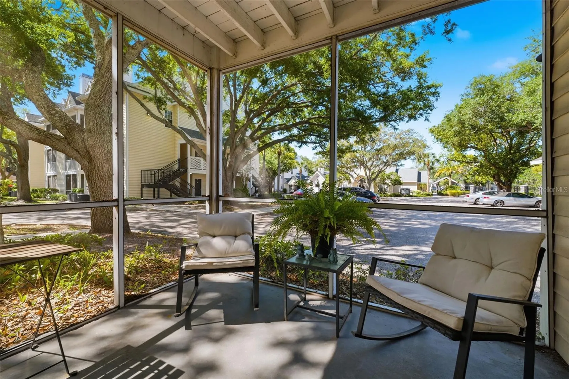 3321 Haviland Court Palm Harbor FL 34684