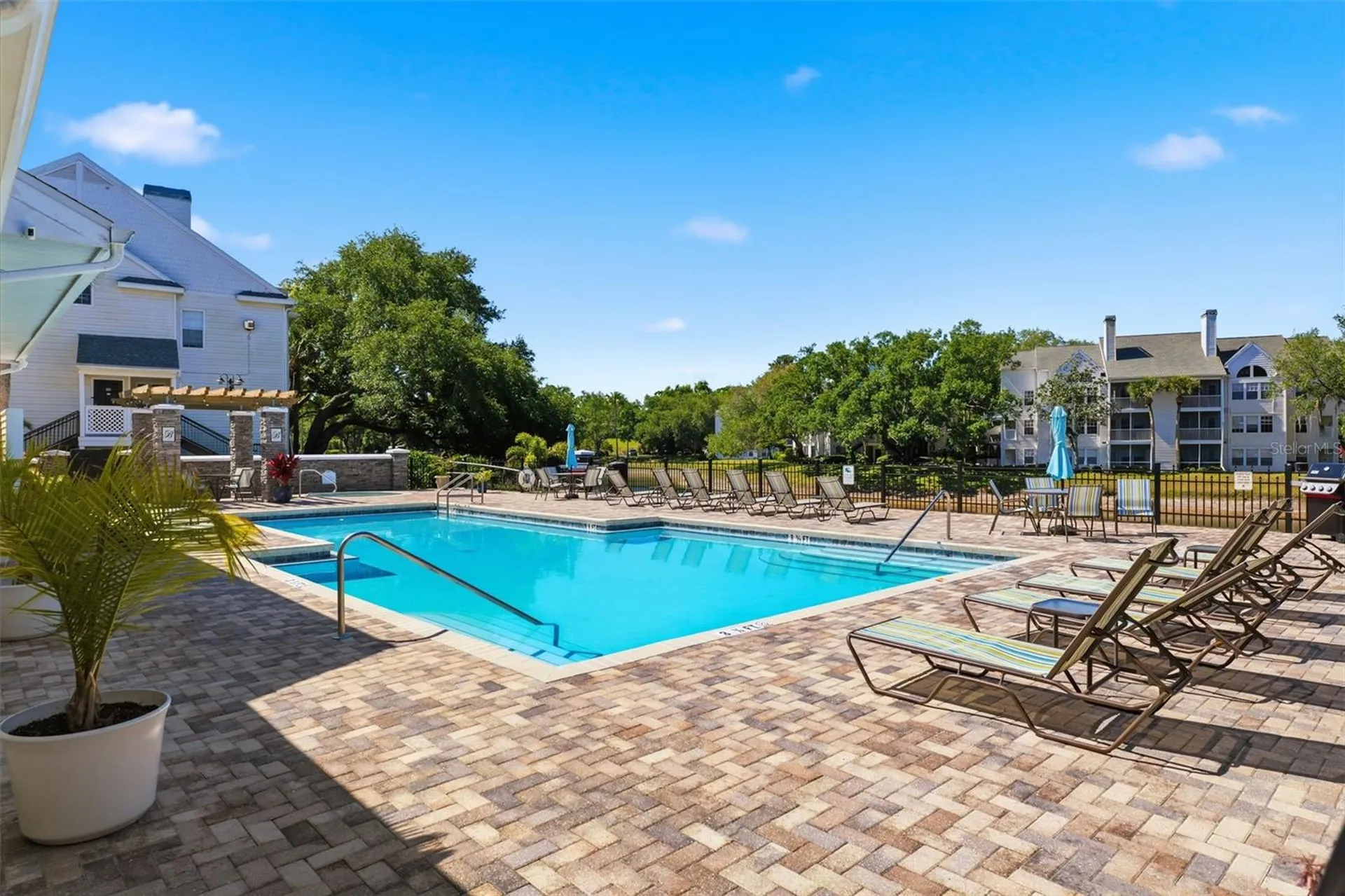 3321 Haviland Court Palm Harbor FL 34684