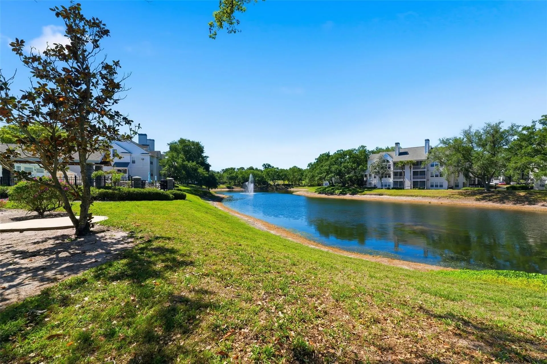 3321 Haviland Court Palm Harbor FL 34684
