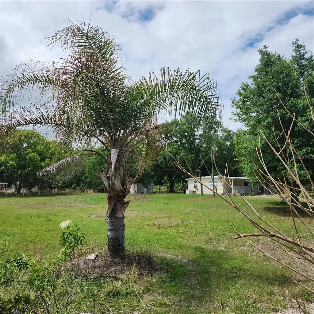 26739 Foamflower Boulevard Wesley Chapel FL 33544