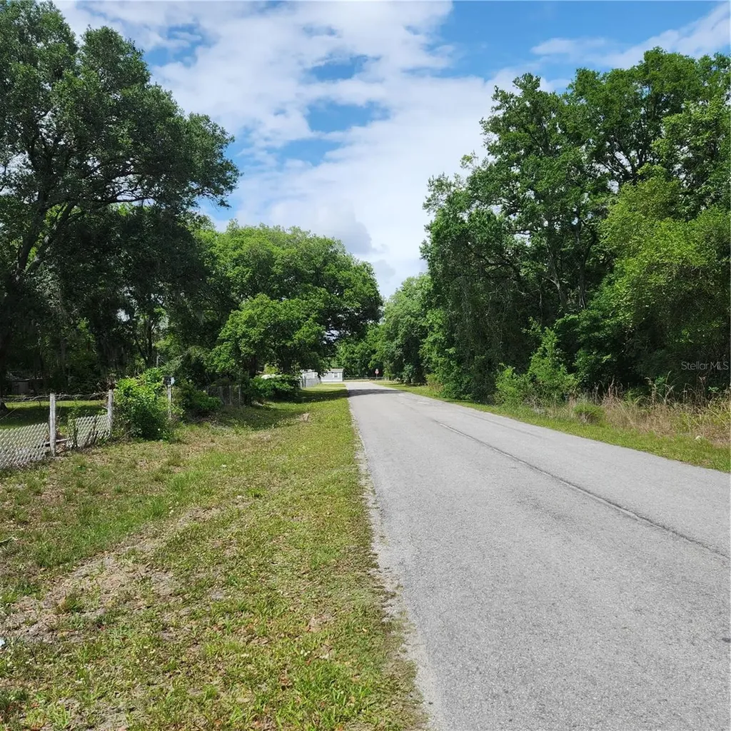 26739 Foamflower Boulevard Wesley Chapel FL 33544