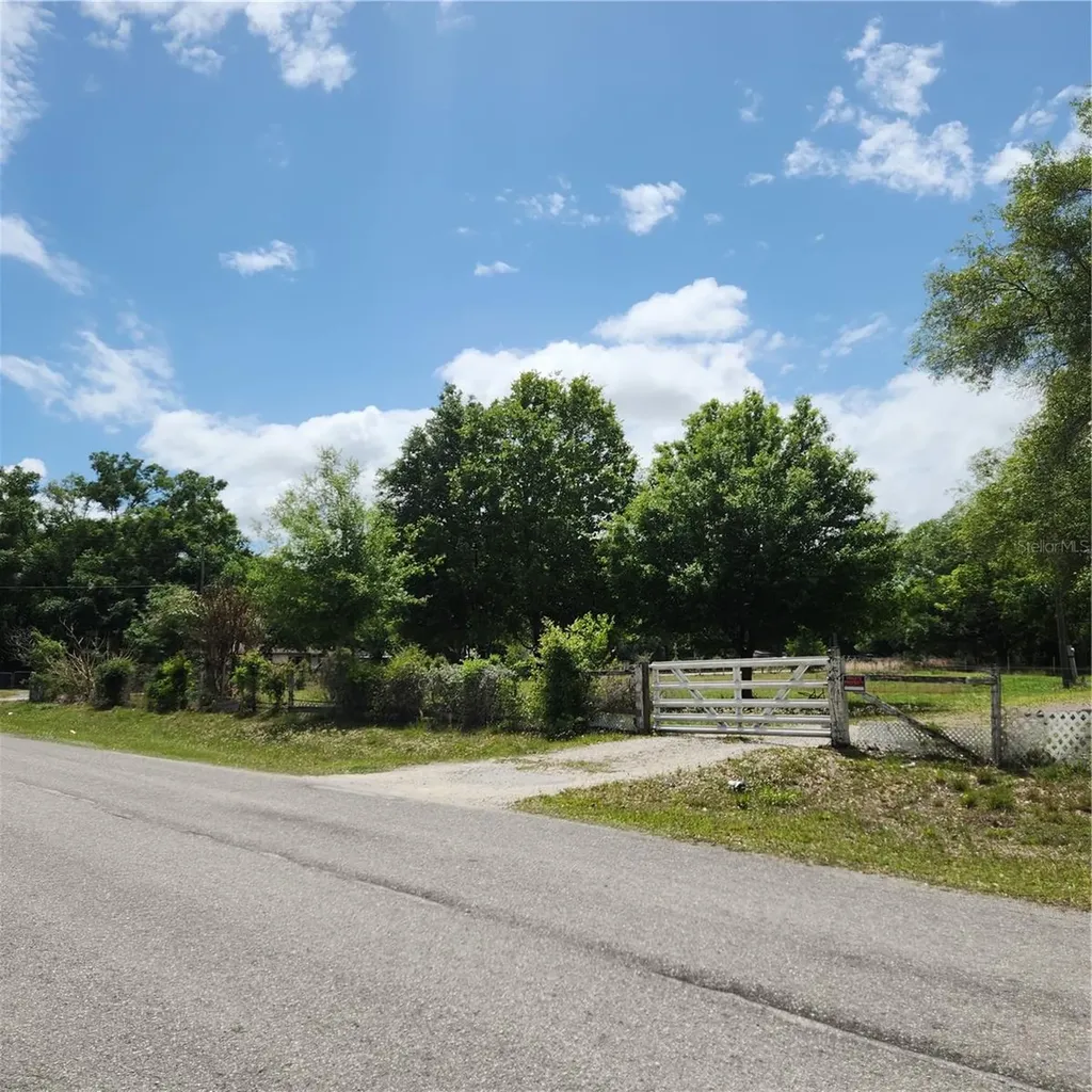 26739 Foamflower Boulevard Wesley Chapel FL 33544