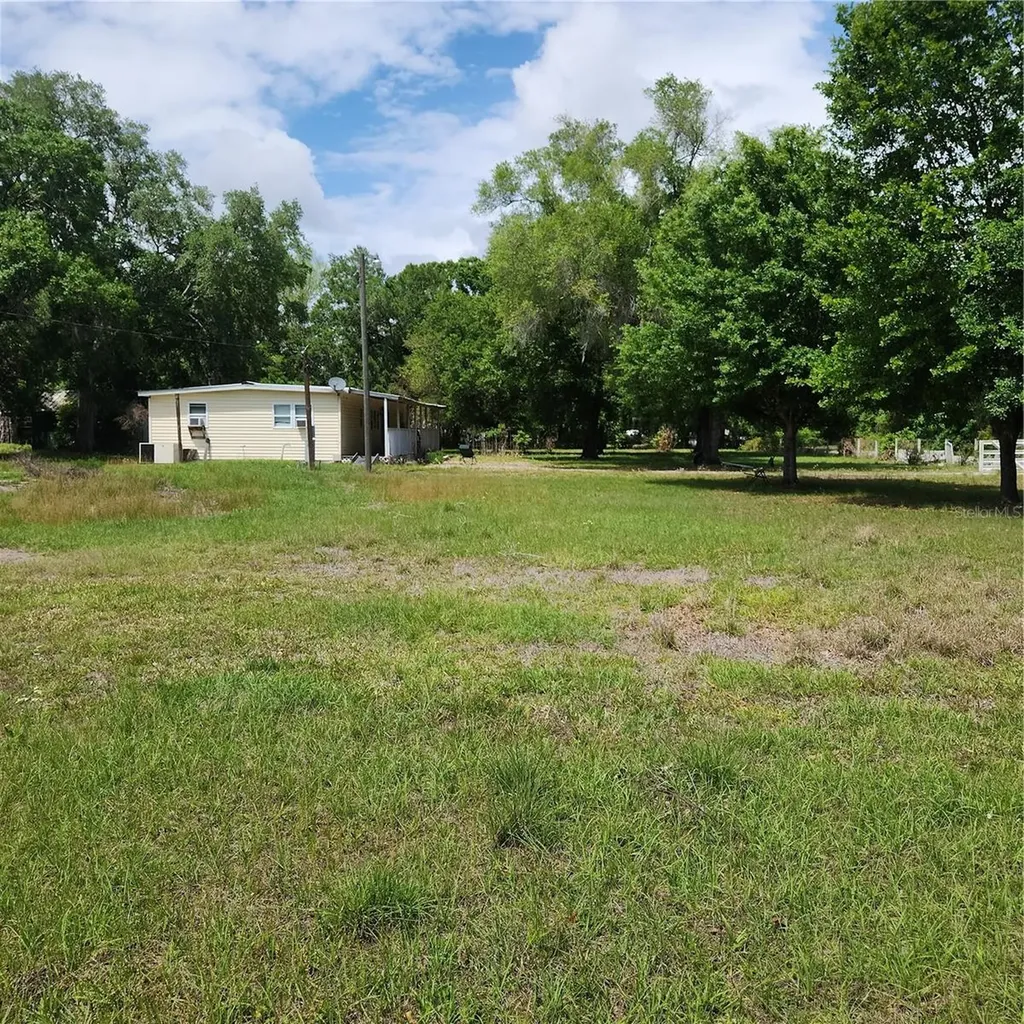 26739 Foamflower Boulevard Wesley Chapel FL 33544