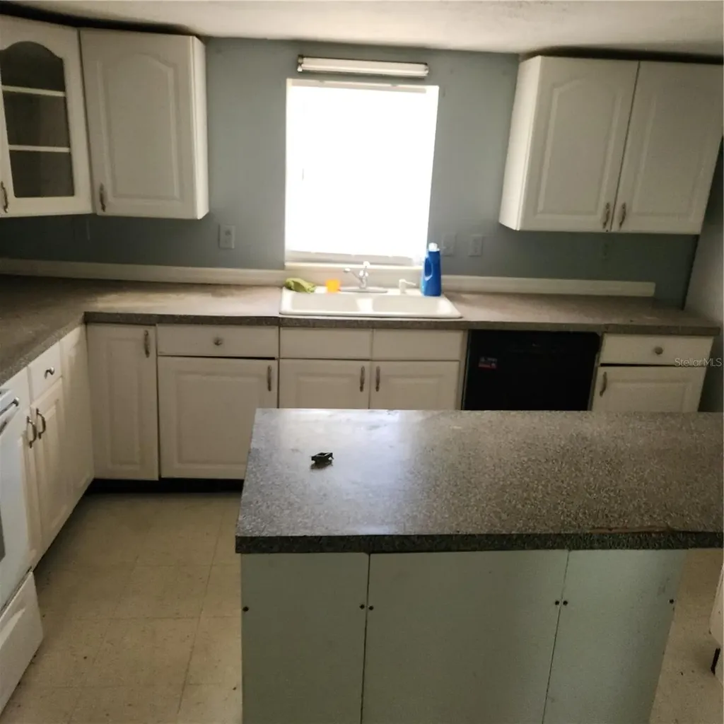 26739 Foamflower Boulevard Wesley Chapel FL 33544