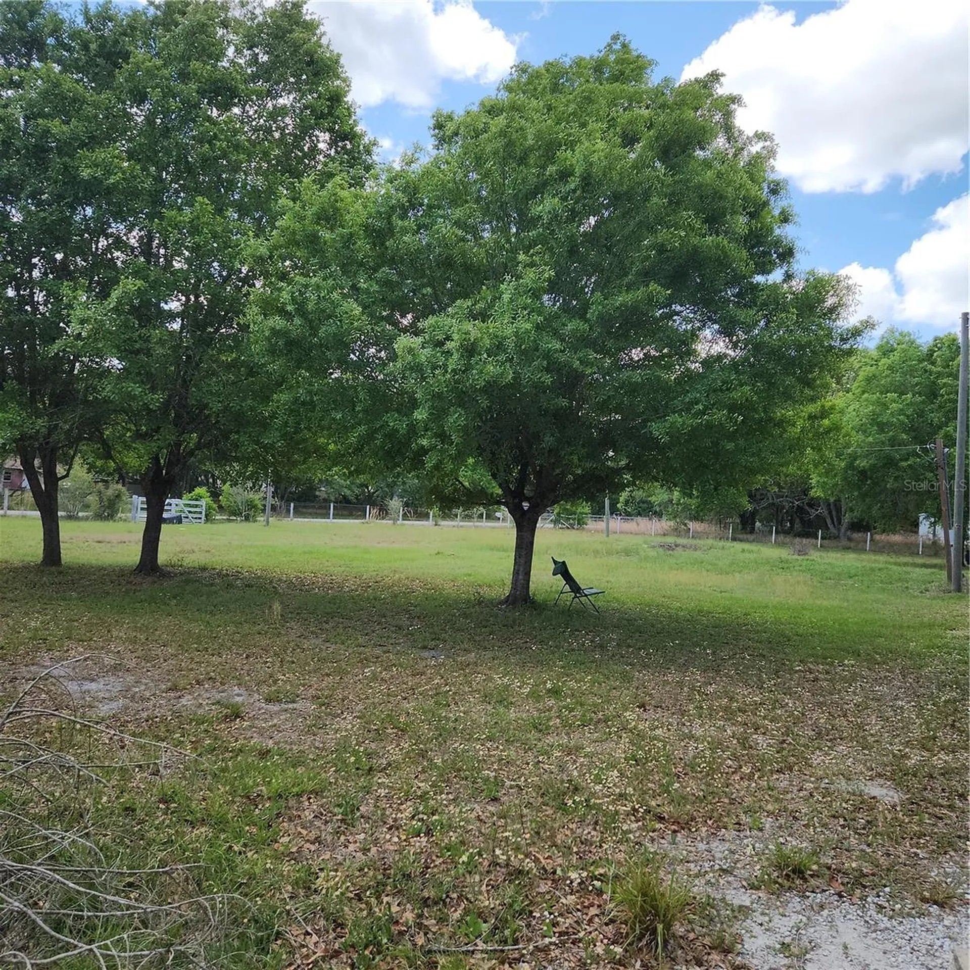 26739 Foamflower Boulevard Wesley Chapel FL 33544