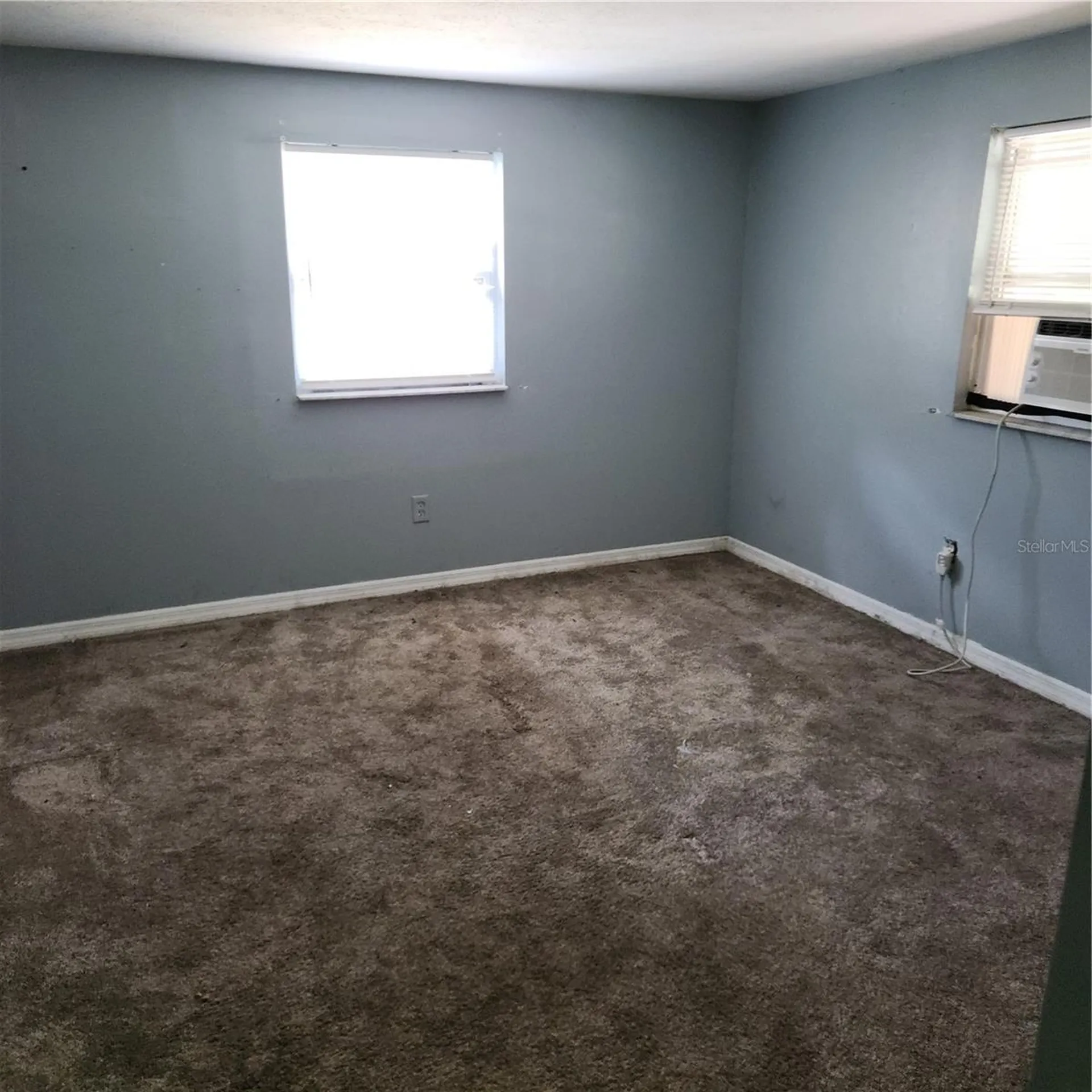26739 Foamflower Boulevard Wesley Chapel FL 33544