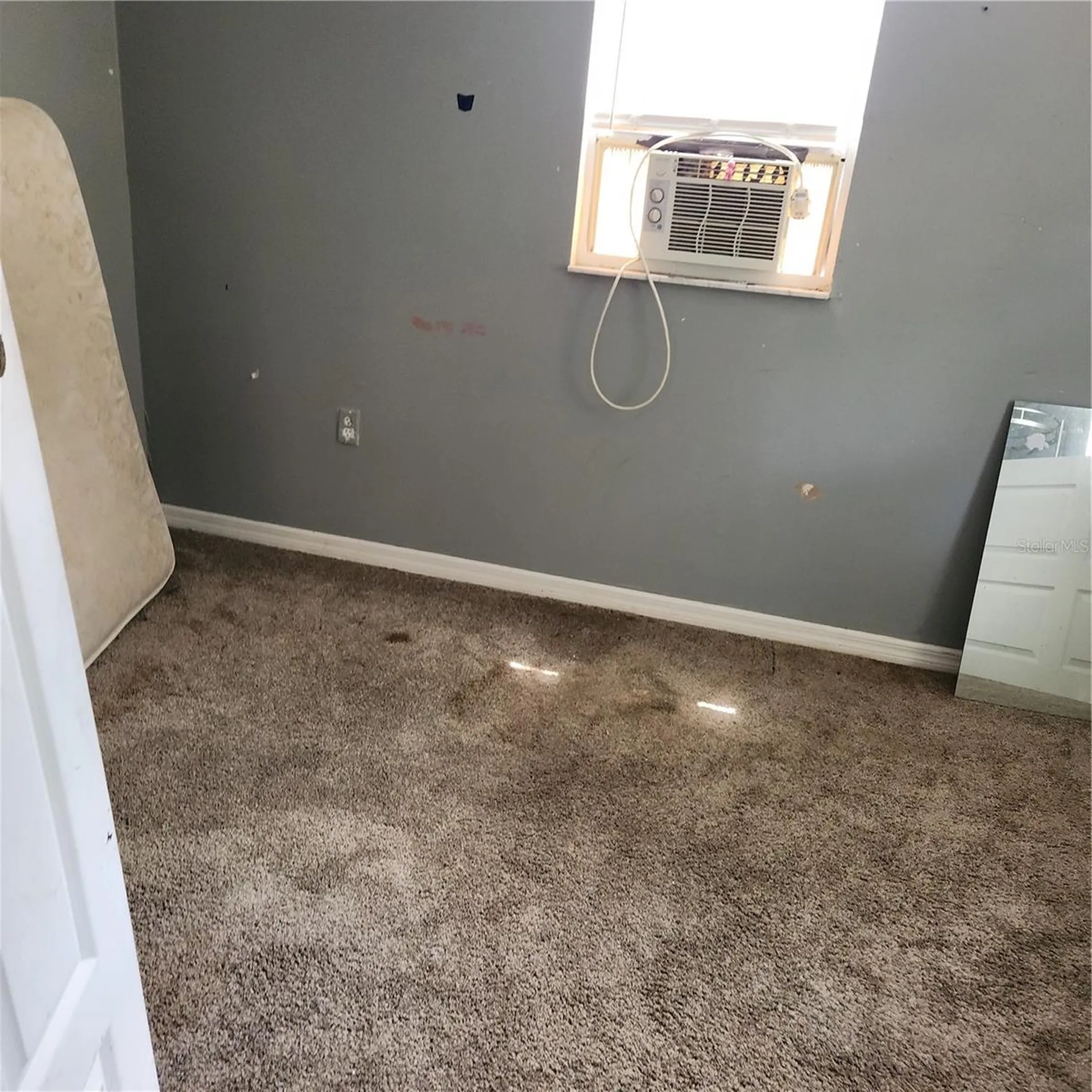 26739 Foamflower Boulevard Wesley Chapel FL 33544