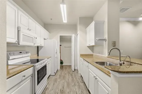 431 Southern Pecan Circle Winter Garden FL 34787