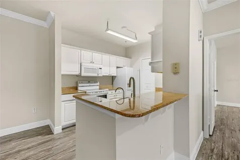 431 Southern Pecan Circle Winter Garden FL 34787
