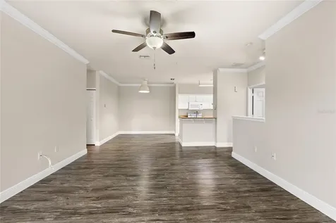 431 Southern Pecan Circle Winter Garden FL 34787