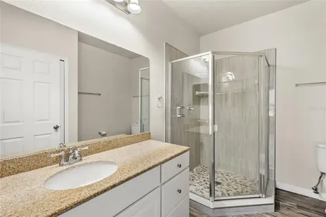 431 Southern Pecan Circle Winter Garden FL 34787